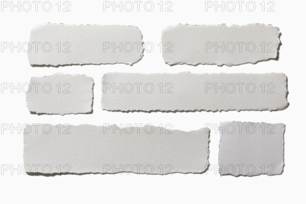 Pieces of torn paper on white background. New York City, New York State, USA.