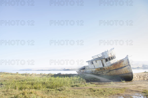 Tomales Bay Shipwreck on sunny day, Inverness, California, USA.