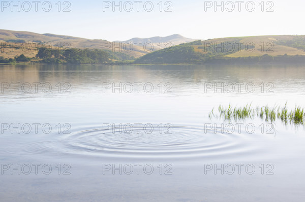 Ripples on calm water surface, Inverness, California, USA.
