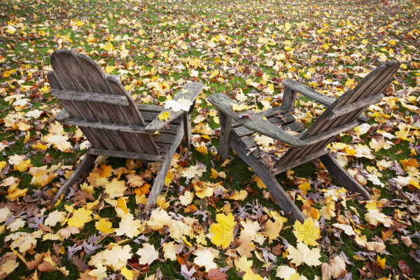 Two old Adirondack Chairs in Autumn, Chatham, New Jersey, USA.
