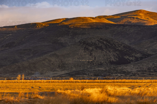 Fields and hills at sunset, Bellevue, Idaho, USA.