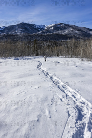 Rear view of woman snowshoeing in Winter landscape, Sun Valley, Idaho, USA.