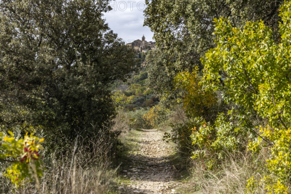 Rural pathway with old town in distance, Gordes, Vaucluse, France.