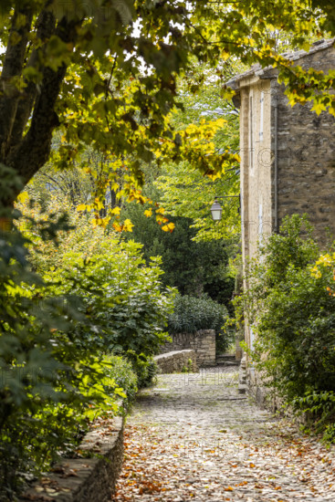 Stone footpath through old village, Gordes, Vaucluse, France.
