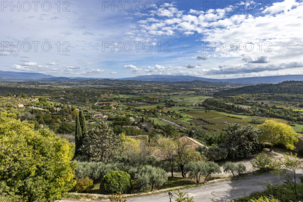 Road and green fields in Luberon Valley, Gordes, Vaucluse, France.