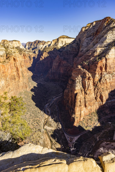 View of Zion Canyon from Angels Landing, Zion National Park, Utah, USA.