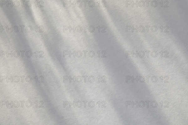 Light streaks on white background, New York City, New York, USA.
