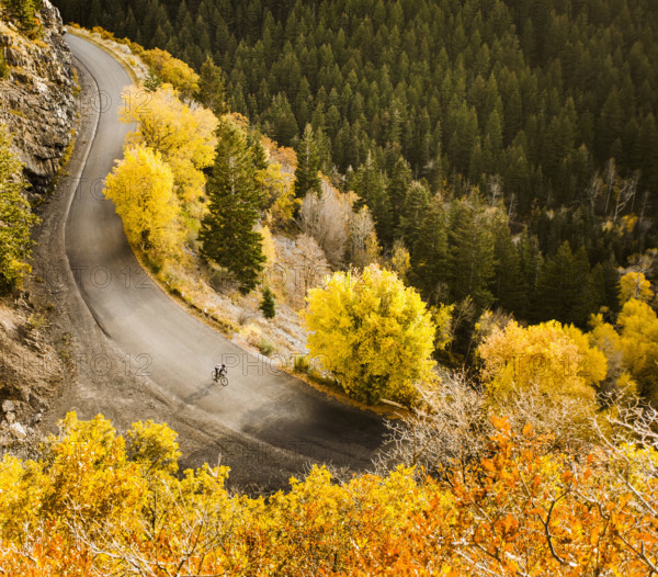 Aerial view of bicyclist on rural road in autumn, Lehi, Utah, USA.