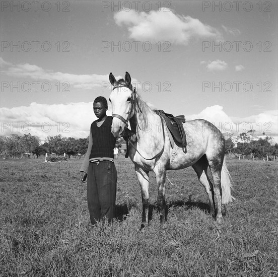 Fosdick's horses. An African man stands with one of Fosdick's horses at the Kuwinda horse show. Kuwinda, Nairobi, Kenya, 5 December 1954. Nairobi, Nairobi Area, Kenya, Eastern Africa, Africa.