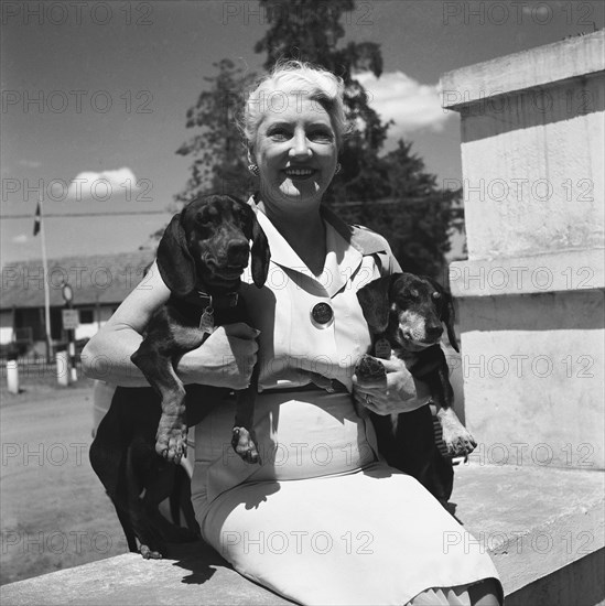 Mrs Keldie's dachshund dogs. Mrs Keldie sit outdoors holding her two pet dachshund dogs for the camera, one under each arm. Both animals wear collars that read 'KMB dog 1954'. Kitale, Kenya, 26 December 1954. Kitale, Rift Valley, Kenya, Eastern Africa, Africa.