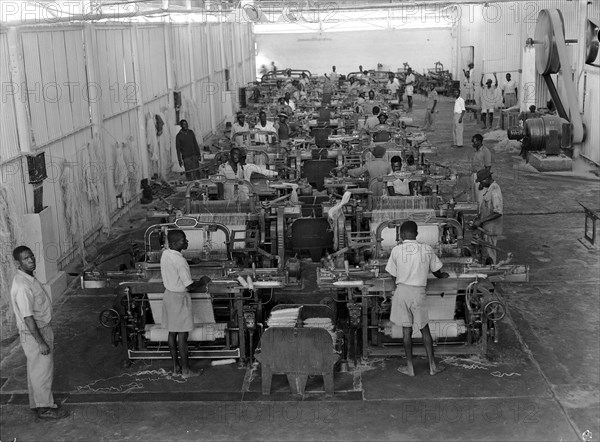 Weaving sisal. Factory workers operate weaving machines at Sisal Products Ltd. Grown commercially for its hard fibres, sisal is a cactus closely related to hemp that is used to make products such as twine, rope and sacks etc. Kenya, 18 February 1953. Kenya, Eastern Africa, Africa.