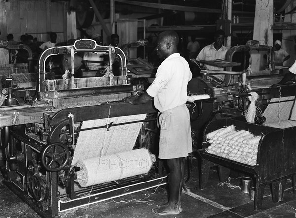 Sisal weavers. A barefoot factory worker operates a weaving machine at Sisal Products Ltd. Grown commercially for its hard fibres, sisal is a cactus closely related to hemp that is used to make products such as twine, rope and sacks etc. Kenya, 18 February 1953. Kenya, Eastern Africa, Africa.