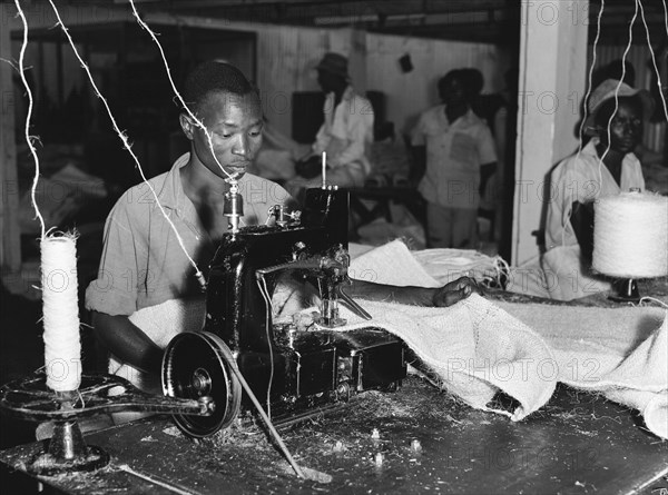 Factory worker sewing. A factory worker operates an industrial sewing machine at Sisal Products Ltd. Grown commercially for its hard fibres, sisal is a cactus closely related to hemp that is used to make products such as twine, rope and sacks etc. Kenya, 18 February 1953. Kenya, Eastern Africa, Africa.