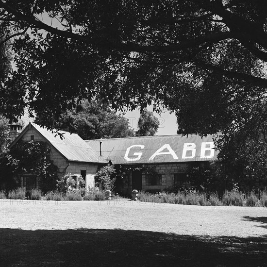 Gabb's house. A single storey house belonging to Gabb displays the large painted letters 'GABB' on its pitched roof. During the Mau Mau campaigns of the 1950s, house owners used signs such as this to announce which side they were affiliated to. North Kinangop, Kenya, 9-12 February 1953. Kinangop, Central (Kenya), Kenya, Eastern Africa, Africa.