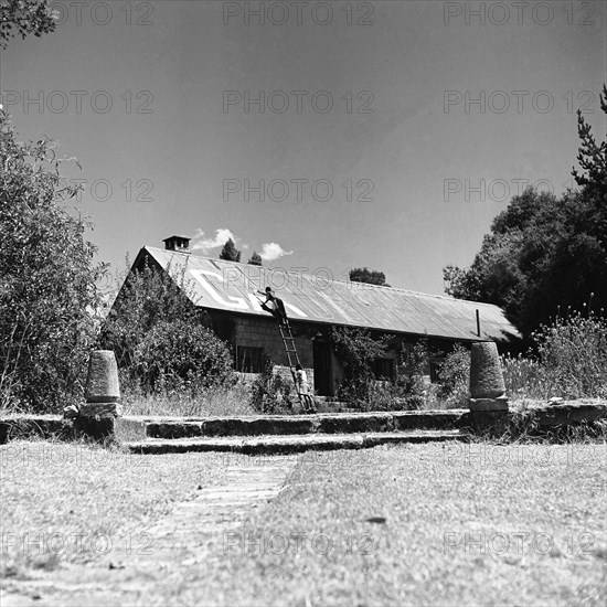 Name painting. A man on a ladder paints the name 'GABB' in large letters on the pitched roof of a single storey house belonging to Gabb. During the Mau Mau campaigns of the 1950s, house owners used signs such as this to announce which side they were affiliated to. North Kinangop, Kenya, 9-12 February 1953. Kinangop, Central (Kenya), Kenya, Eastern Africa, Africa.