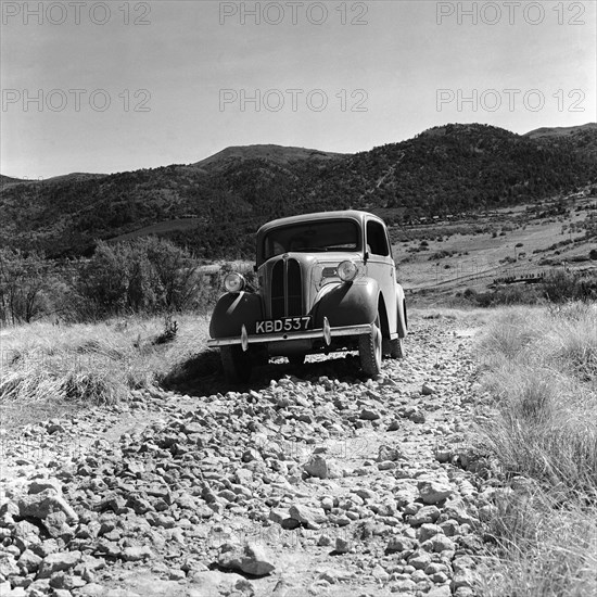 Ford Anglia. The driver of a Ford Anglia car tackles a rocky countryside road. North Kinangop, Kenya, 9-12 February 1953., Central (Kenya), Kenya, Eastern Africa, Africa.