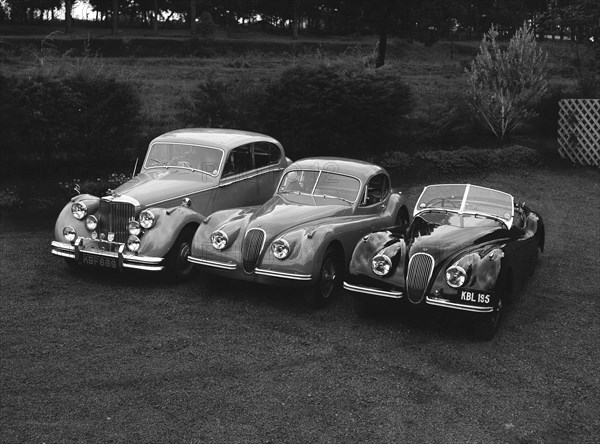 Three Jaguars. A line-up of three Jaguar cars (left to right): a Jaguar Mark V belonging to Archer, a Jaguar Coupe belonging to Peter Knight, and a Jaguar Coupe convertible. Kenya, 7 June 1953. Kenya, Eastern Africa, Africa.