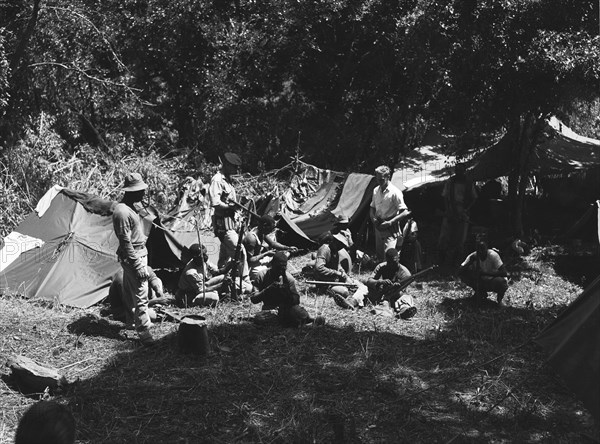 KAR bivouac. A mixed race group of soldiers in the King's African Rifles (KAR) check and clean their rifles at a bivouac, the term given to a temporary military encampment usually formed in an unsheltered area. Kenya, June 1953. Kenya, Eastern Africa, Africa.