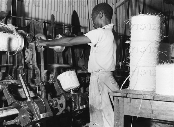 Spinning twine. A factory worker spins sisal fibre into twine at Sisal Products Ltd. Grown commercially for its hard fibres, sisal is a cactus closely related to hemp that is used to make products such as twine, rope and sacks etc. Kenya, 30 January 1953. Kenya, Eastern Africa, Africa.