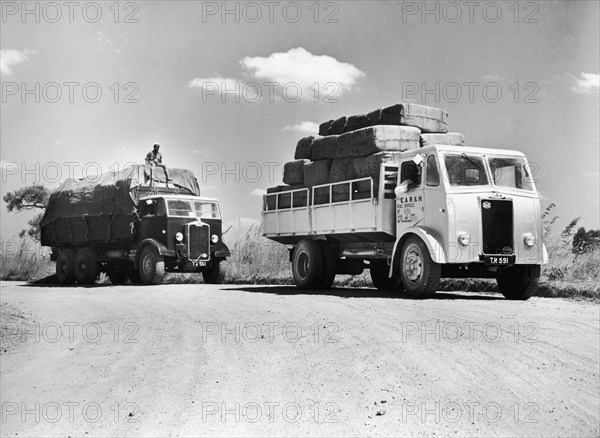 Tanganyika Road Services lorries. An official photograph from the East African Railways and Harbours Administration (EAR&H) showing two laden trucks from the Tanganyika Road Service division. Tanganyika Territory (Tanzania), circa 1950. Tanzania, Eastern Africa, Africa.
