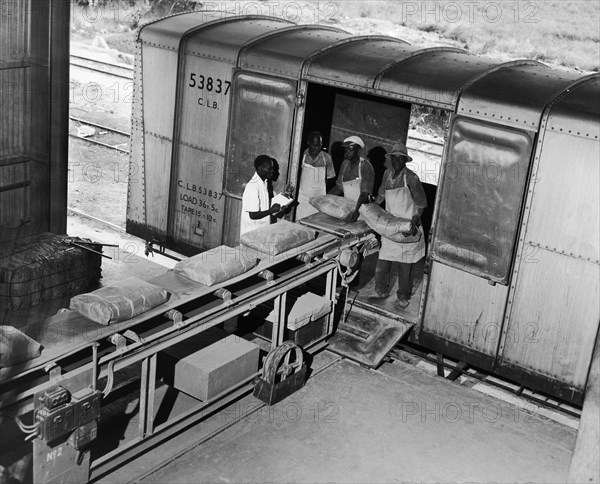 Loading cement onto a train. A publicity photograph from the East African Railways and Harbours Administration (EAR&H) showing African workers loading sacks of cement onto a train from a conveyor belt at the Athi River Plant of the East African Portland Cement Company. Near Nairobi, Kenya, circa 1950., Nairobi Area, Kenya, Eastern Africa, Africa.