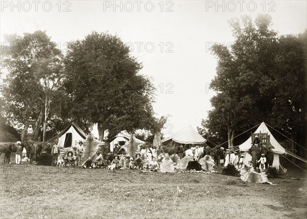 Big game hunting party. Animal trophies on display at the campsite of a hunting party headed by five British men armed with shotguns. Among the hunters' spoils are the hides of several tigers, bears, deer and crocodiles. A number of Indian servants can be seen, some attending to the horses and elephants used in the hunt. India, 1886. India, Southern Asia, Asia.