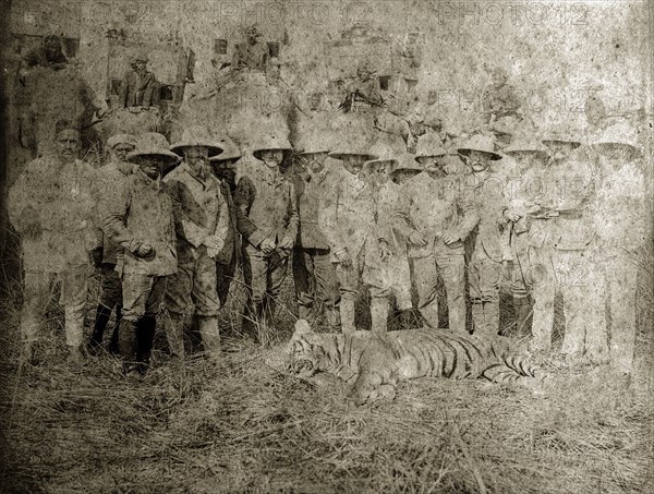 Tiger hunters with a kill. A group of British and Indian hunters in Western clothing and solatopi hats, pose proudly beside the body of a tiger they have recently killed. Elephants carrying people in howdahs can be seen in the background. North East India, circa 1890. India, Southern Asia, Asia.