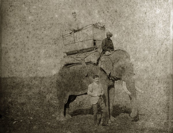 Hunting elephant with howdah. An Indian man, dressed in Western clothing, stands beside a hunting elephant that carries a British passenger in a howdah on its back. North East India, circa 1890. India, Southern Asia, Asia.
