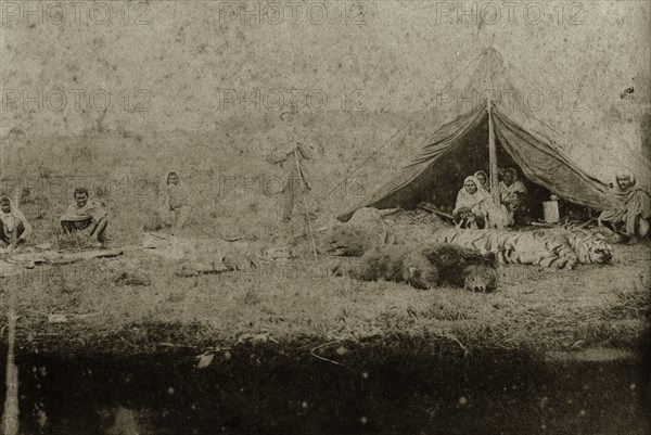 Trophies at a hunting camp. A British hunter stands proudly over the day's hunting spoils which include the head of a rhinoceros and bodies of a tiger and brown bear. Indian servants crouch on the ground in tents surrounding the kills. North East India, circa 1890. India, Southern Asia, Asia.