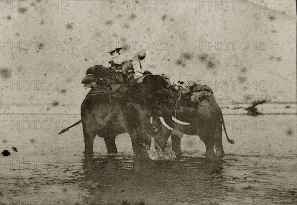 Hunting elephants wet their feet. Two hunting elephants loaded with blankets cool their feet in a shallow river, their mahouts (elephant handlers) sitting patiently on board. North East India, circa 1890. India, Southern Asia, Asia.