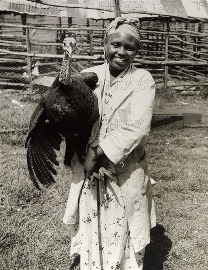 A member of the Young Farmers Club. A female member of the Young Farmers Club smiles for the camera, holding a large turkey under one arm. Fort Hall, Kenya, circa 1965. Fort Hall, Central (Kenya), Kenya, Eastern Africa, Africa.