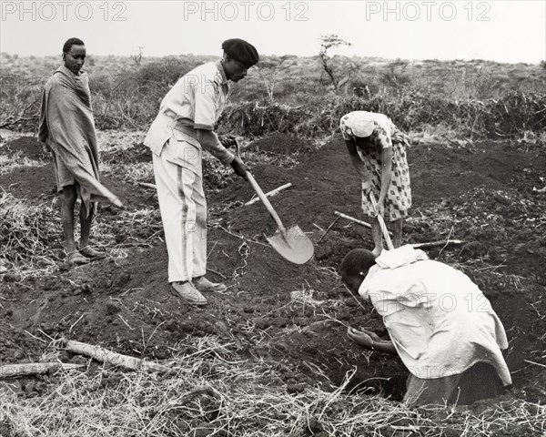 Digging a coffee shamba. A uniformed agricultural instructor, spade in hand, helps three African farm workers dig the earth, offering advice on how to prepare a coffee shamba before planting. Kenya, circa 1965. Kenya, Eastern Africa, Africa.