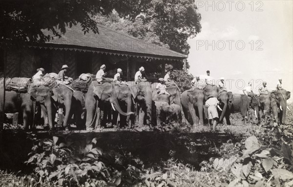 Elephants line up, Burma (Myanmar). Official publicity shot for the Burmese government. Mahouts (elephant handlers) and their harnessed elephants prepare for a march into the jungle. The animals were probably used to manoeuvre timber in the teak forests of Burma (Myanmar). Burma (Myanmar), circa 1908. Burma (Myanmar), South East Asia, Asia.
