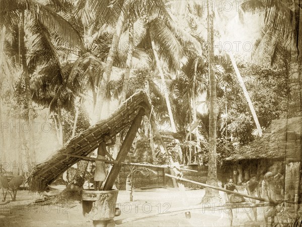 Burmese grinding mill. A team of children work together to operate a large grinding mill in a rural village. The equipment, which looks similar to the ox-driven mills typically used in Burma to make peanut oil, is shaded, suggesting the boys are a grinding a perishable substance. Burma (Myanmar), circa 1900. Burma (Myanmar), South East Asia, Asia.