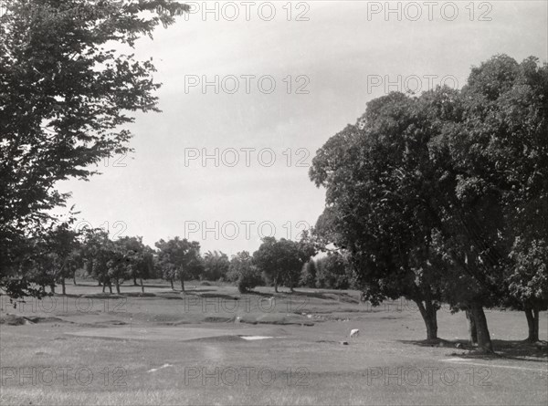 Golf course, Rangoon. Trees on a section of the golf course at Rangoon Golf Club. Rangoon (Yangon), Burma (Myanmar), circa 1952. Yangon, Yangon, Burma (Myanmar), South East Asia, Asia.