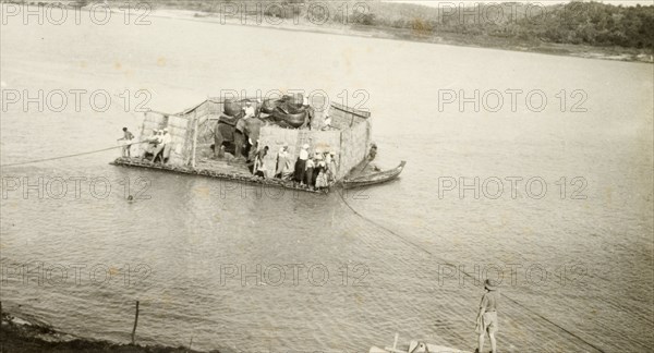 Transporting elephants across a river. Two elephants, used to manoeuvre timber in the teak forests of Burma (Myanmar), travel across a wide river inside an enclosed raft. Men onboard control the crossing, using ropes to haul the raft into position. Burma (Myanmar), circa 1910. Burma (Myanmar), South East Asia, Asia.