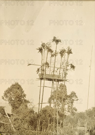 A 'nat' offering in a Burmese village. A 'nat' (spirit) offering in a Burmese village, comprising a wooden platform on stilts, decorated with plants. Kachin State, Burma, (Myanmar), circa 1910., Kachin, Burma (Myanmar), South East Asia, Asia.