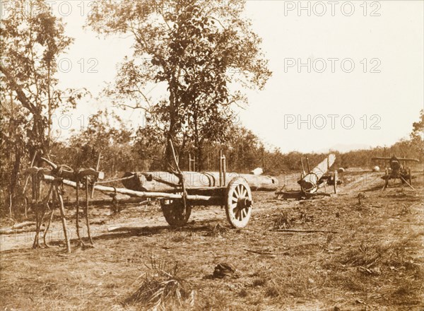 Logging carts, Burma (Myanmar). Three carts, loaded with teak timbers, line a rural road. Burma (Myanmar), circa 1910. Burma (Myanmar), South East Asia, Asia.
