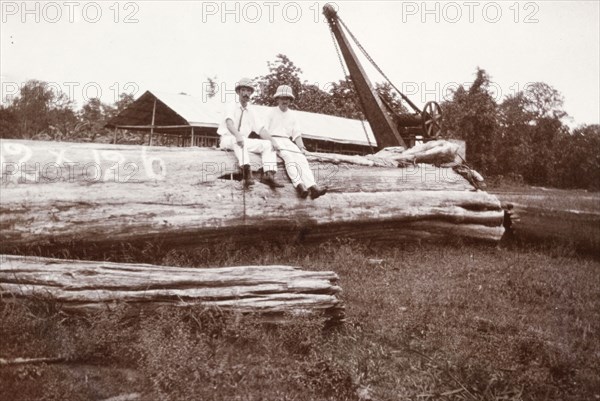 Sitting on a ten-ton log. Two European men pose for the camera, seated on top of a huge tree trunk at a Burmese logging yard. An original caption comments that this piece of timber weighed 10 tonnes. Kyidaunggan, Mandalay Division, Burma (Myanmar), circa 1910. Kyidaunggan, Mandalay, Burma (Myanmar), South East Asia, Asia.