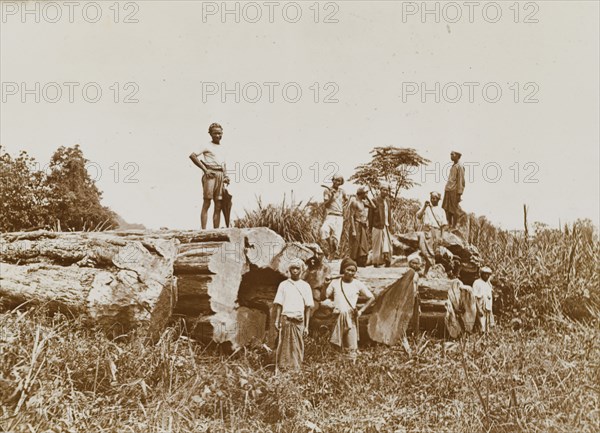 Logging expedition, Burma (Myanmar). Several Burmese lumberjacks pose for the camera beside a number of large, felled tree trunks during a logging expedition. An original caption comments that these timbers weighed an average of seven tonnes each. Burma (Myanmar), circa 1910. Burma (Myanmar), South East Asia, Asia.