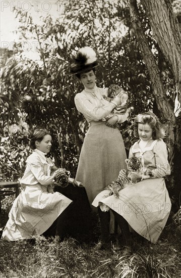 Playing with tiger cubs at Perth Zoo. Lady Annie Lawley (middle) and her daughters, Ursula (right) and Cecilia, play with tiger cubs at Perth Zoo. Perth, Australia, circa 1901. Perth, West Australia, Australia, Australia, Oceania.