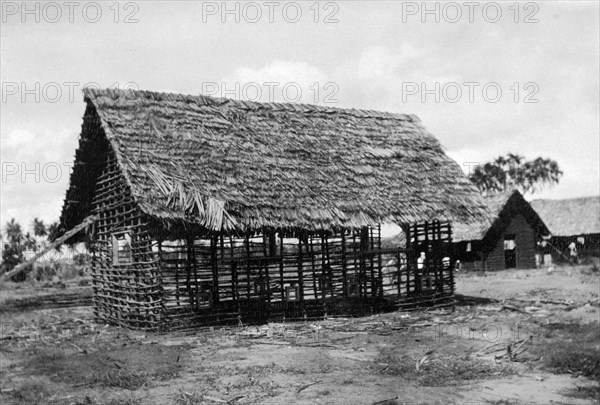Framework for a new classroom. The timber framework and thatched roof of a classroom being built by the local employees of the Kenyan Public Works Department. Waa, Kenya, 1925. Waa, Coast, Kenya, Eastern Africa, Africa.