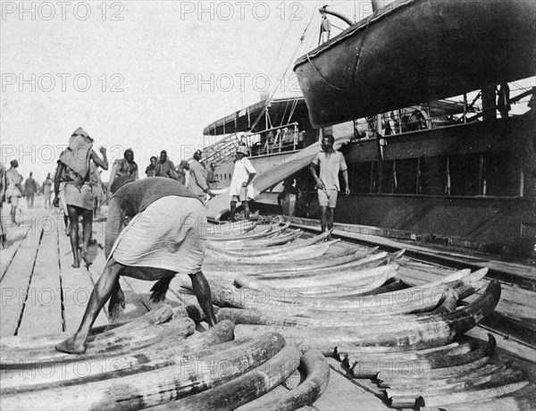 Ivory at Port Bell pier. A worker stacks elephant tusks on the busy pier at Port Bell on Lake Victoria. Near Kampala, Uganda, circa 1913. Kampala, Central (Uganda), Uganda, Eastern Africa, Africa.
