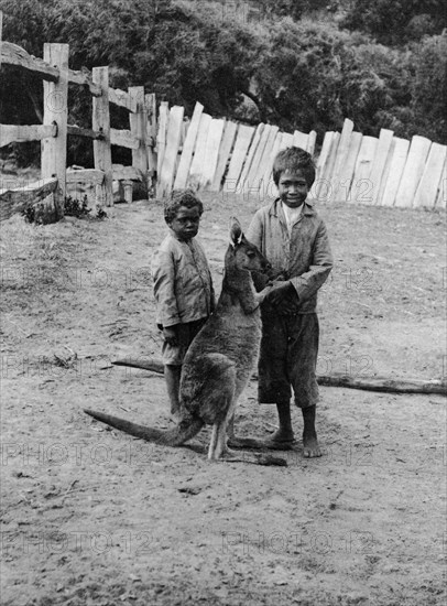 Aboriginal boys with kangaroo. Two barefooted aboriginal boys pet young kangaroo in a fenced paddock. The older boy smiles as he holds the kangaroo's paws in his hands. Rottnest Island, Australia, circa 1901. Rottnest Island, West Australia, Australia, Australia, Oceania.