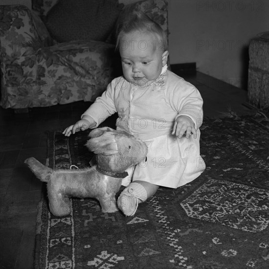 Baby at the Russel's house. A baby sitting on a patterned rug is captivated by a furry toy dog at the Russel's family house. Kenya, 4 September 1955. Kenya, Eastern Africa, Africa.