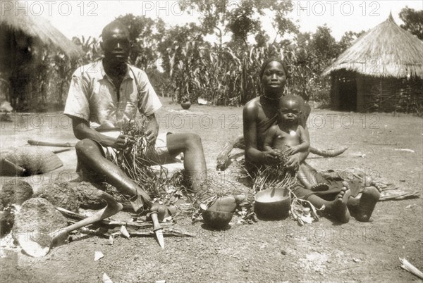 Harvesting peanuts. A Sudanese family sit outside harvesting peanuts from the roots of peanut plants, the woman holding a baby on her knee as she works. Several hand tools can be seen in the foreground, including a hoe fashioned from an antler and a small sharp knife. Golo, Sudan, circa 1930. Golo, West Darfur, Sudan, Eastern Africa, Africa.
