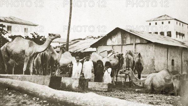 Zanzibar camel rest. Four children caught on camera at a camel rest near a marketplace. Zanzibar (Tanzania), 12-17 January 1924., Zanzibar Urban/West, Tanzania, Eastern Africa, Africa.