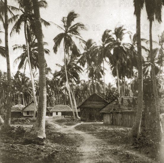 Zanzibar housing. A dirt track winding through tall coconut trees, leads up to a small village containing a cluster of thatched houses. Zanzibar (Tanzania), 12-17 January 1924., Zanzibar Urban/West, Tanzania, Eastern Africa, Africa.