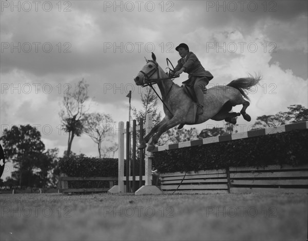 Lili Marlene' jumps a fence. Susan Millbank and her horse 'Lili Marlene' jump over a fence in the class nine JA jumping competition at the SJAK show (Sports Journalists Association of Kenya). Kenya, 25 August 1956. Kenya, Eastern Africa, Africa.