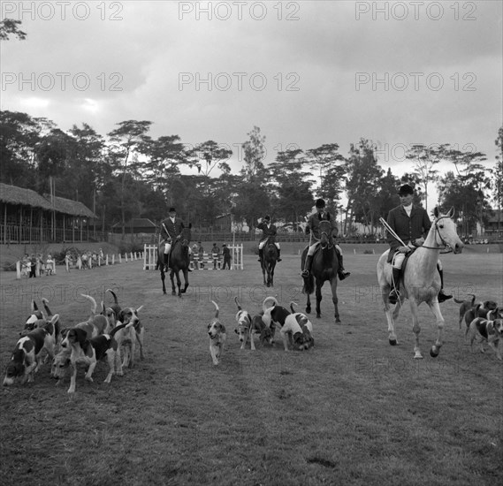 Horses and hounds. Mounted riders in hunting gear trot alongside their hunting hounds in the arena at the SJAK show (Sports Journalists Association of Kenya). Limuru, Kenya, 25 August 1956. Limuru, Central (Kenya), Kenya, Eastern Africa, Africa.